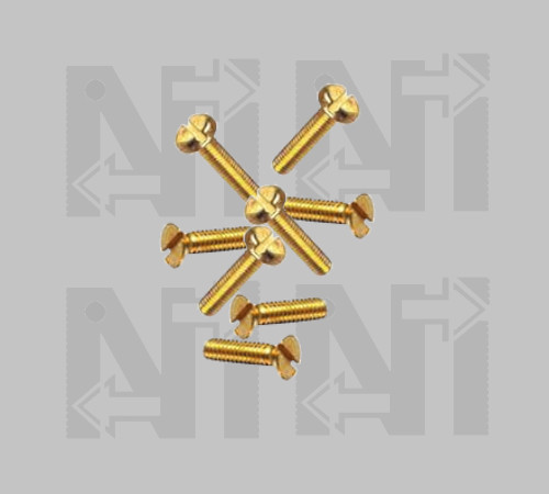 Brass Slotted Pan Head Screws