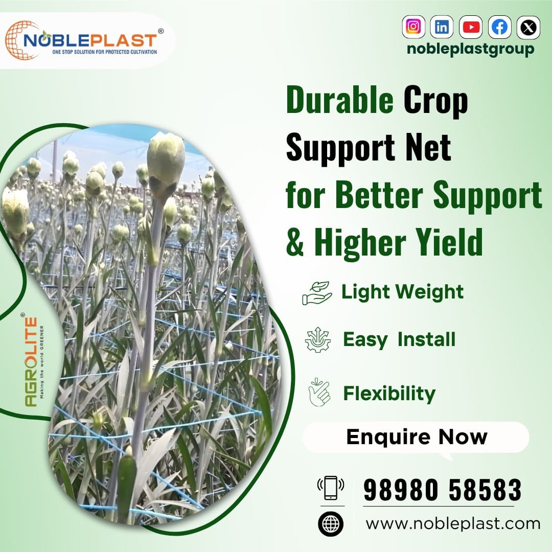 Durable Crop Support Net For Better Support And Higher Yield
