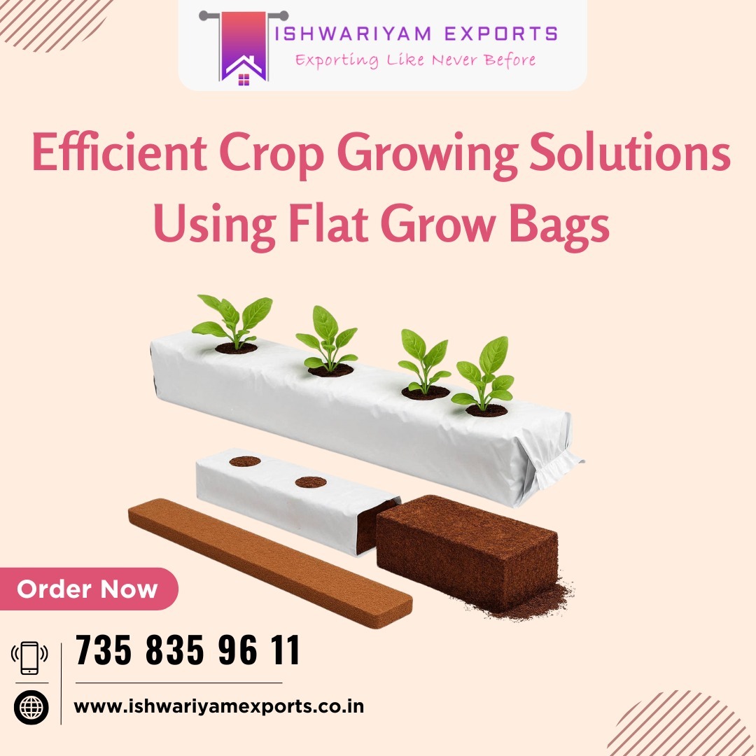 Efficient Crop Growing Solutions Using Flat Grow Bags