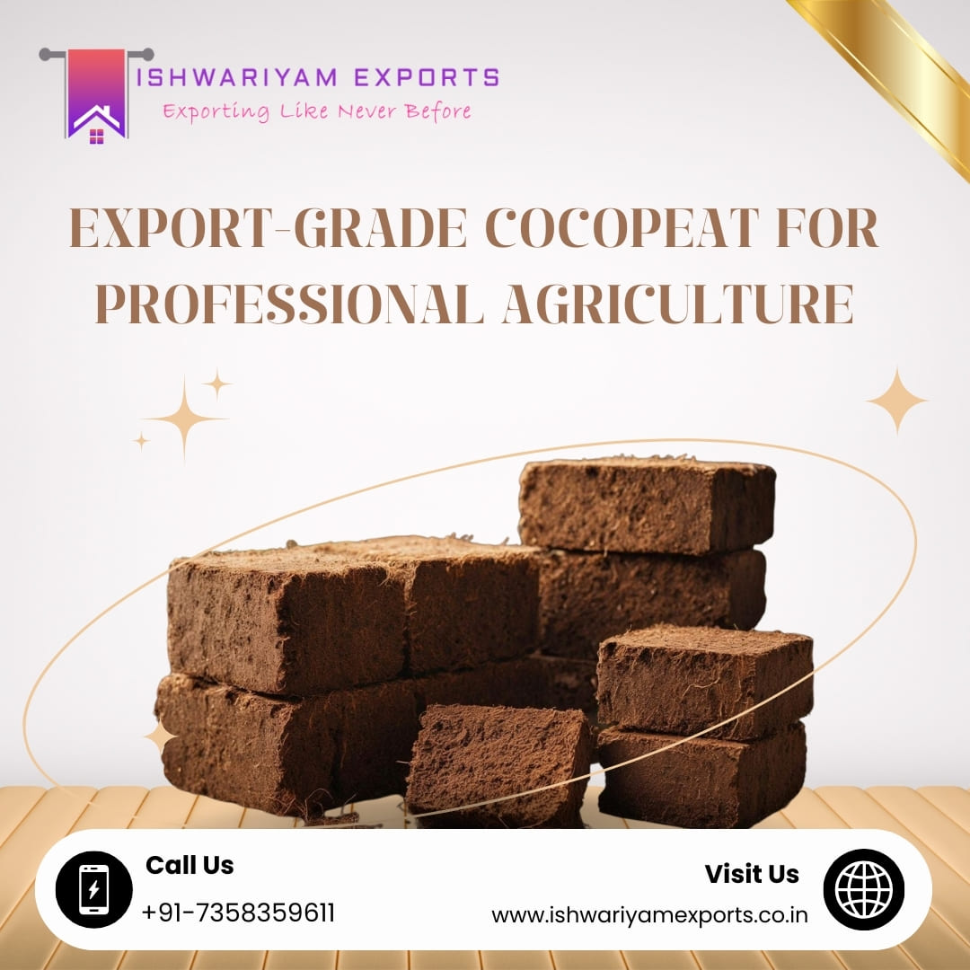 High-quality Cocopeat Blocks In Chennai