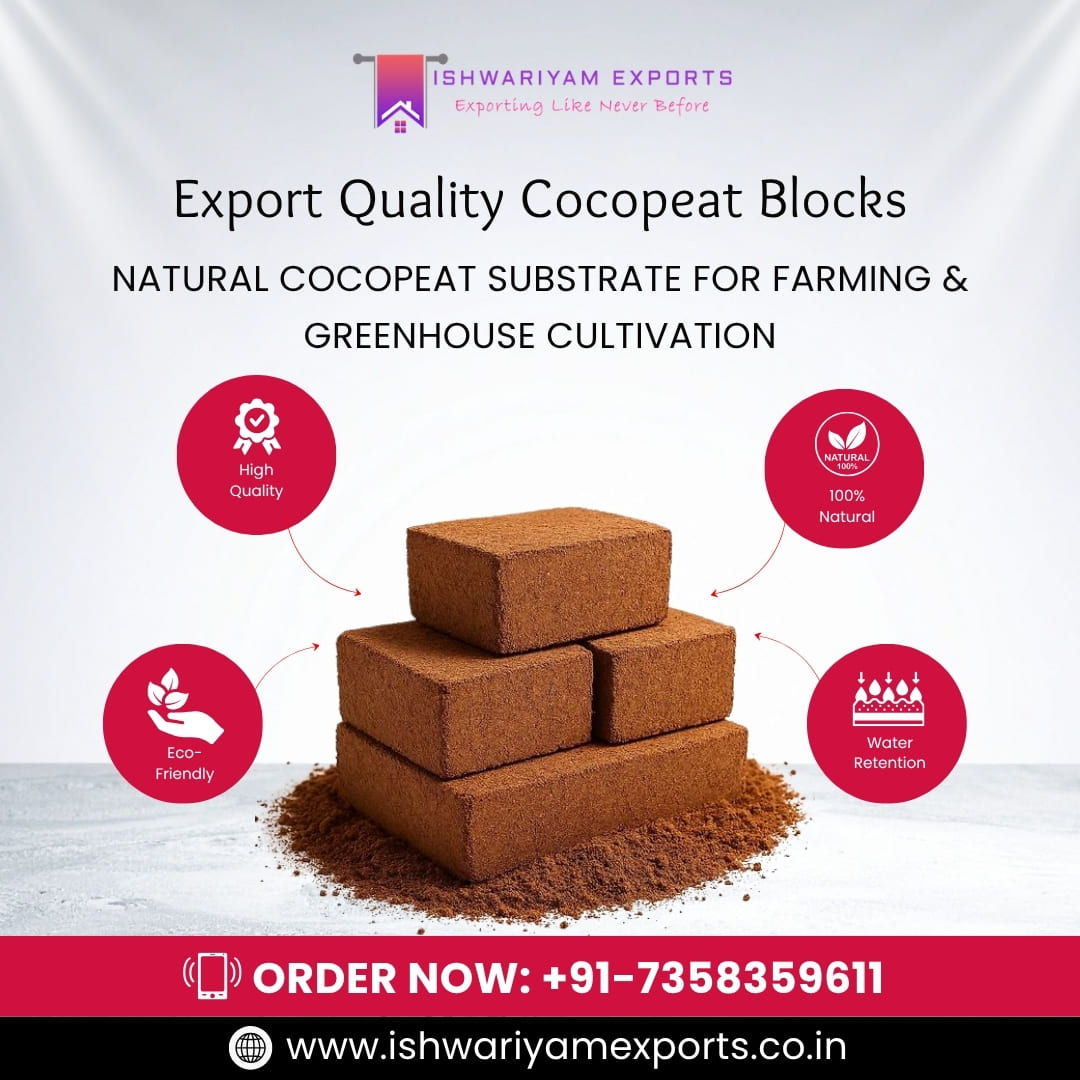 High Quality Cocopeat Blocks With Excellent Water Retention