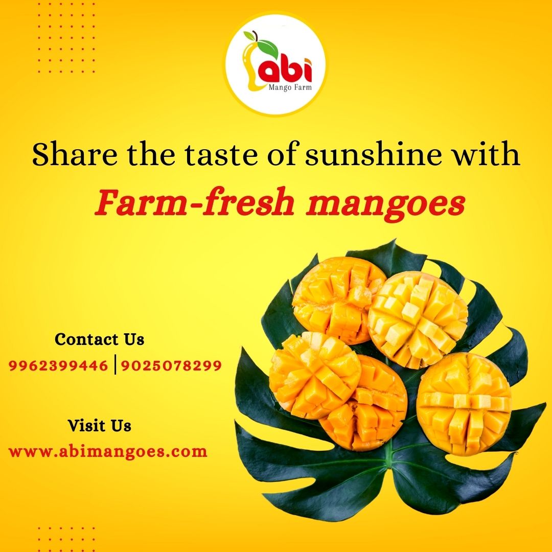 Farm Fresh Mangoes From Abi Mango Farm 