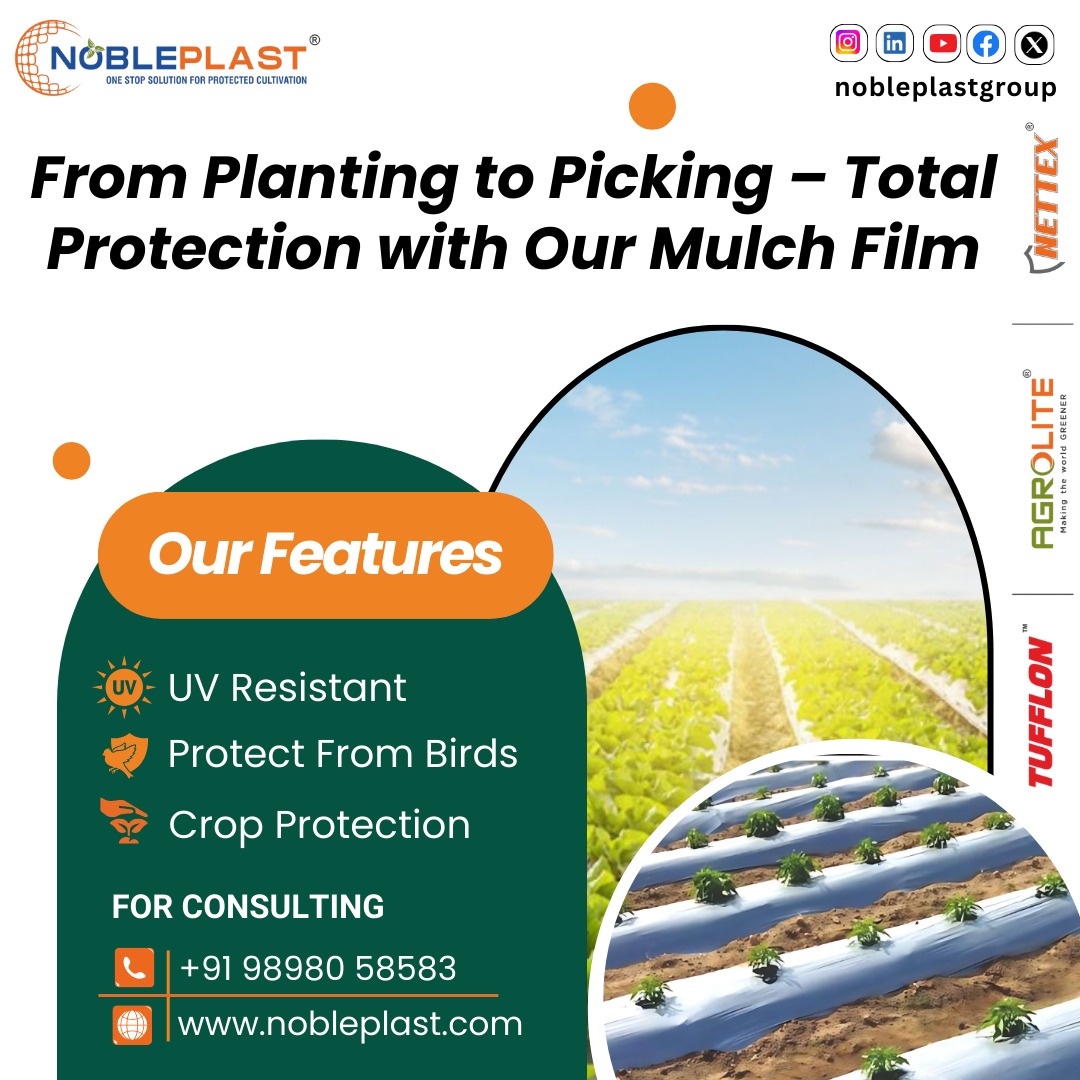 Uv Resistant Mulch Film For Higher Yield & Crop Safety