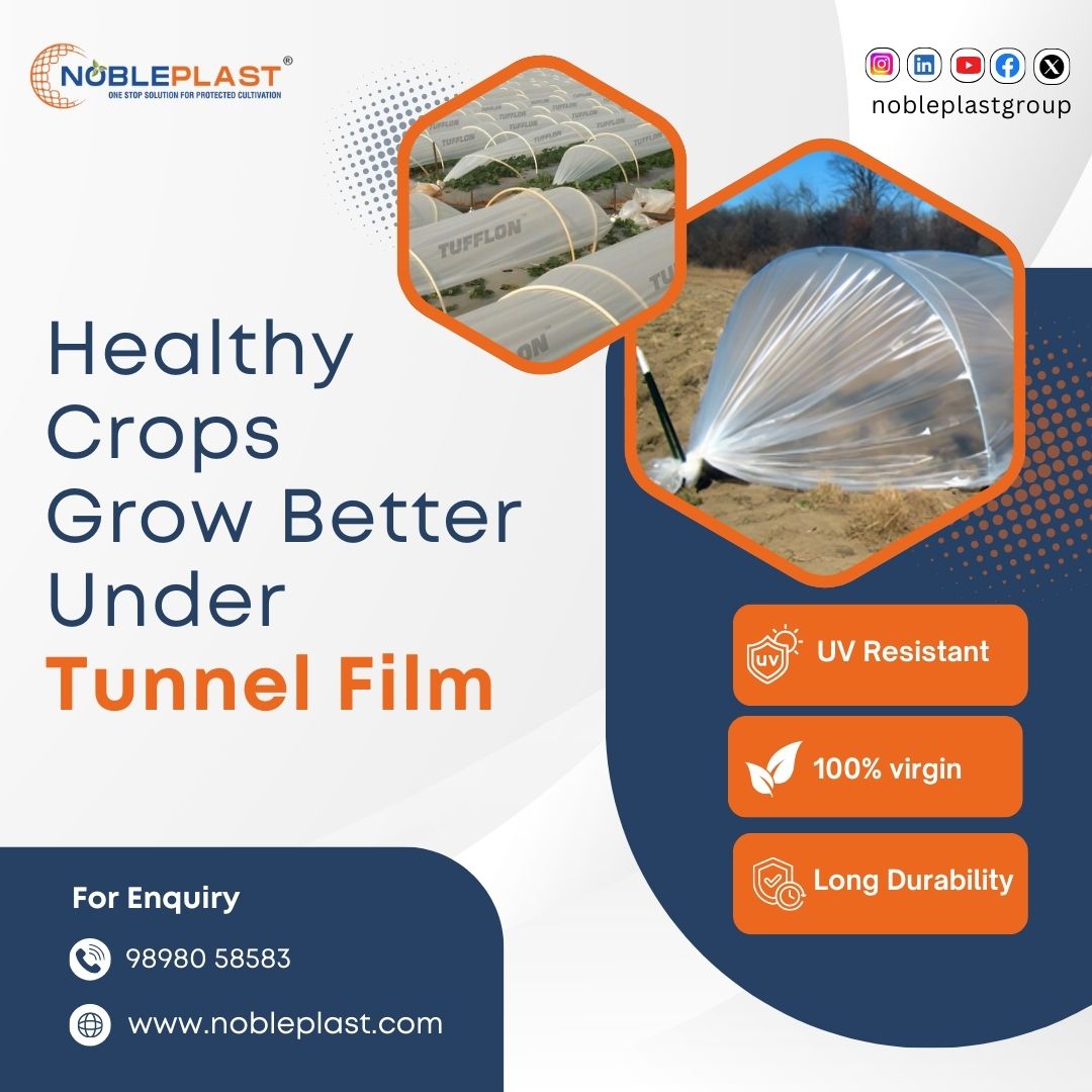 Healthy Crops Grow Better Under Tunnel Film
