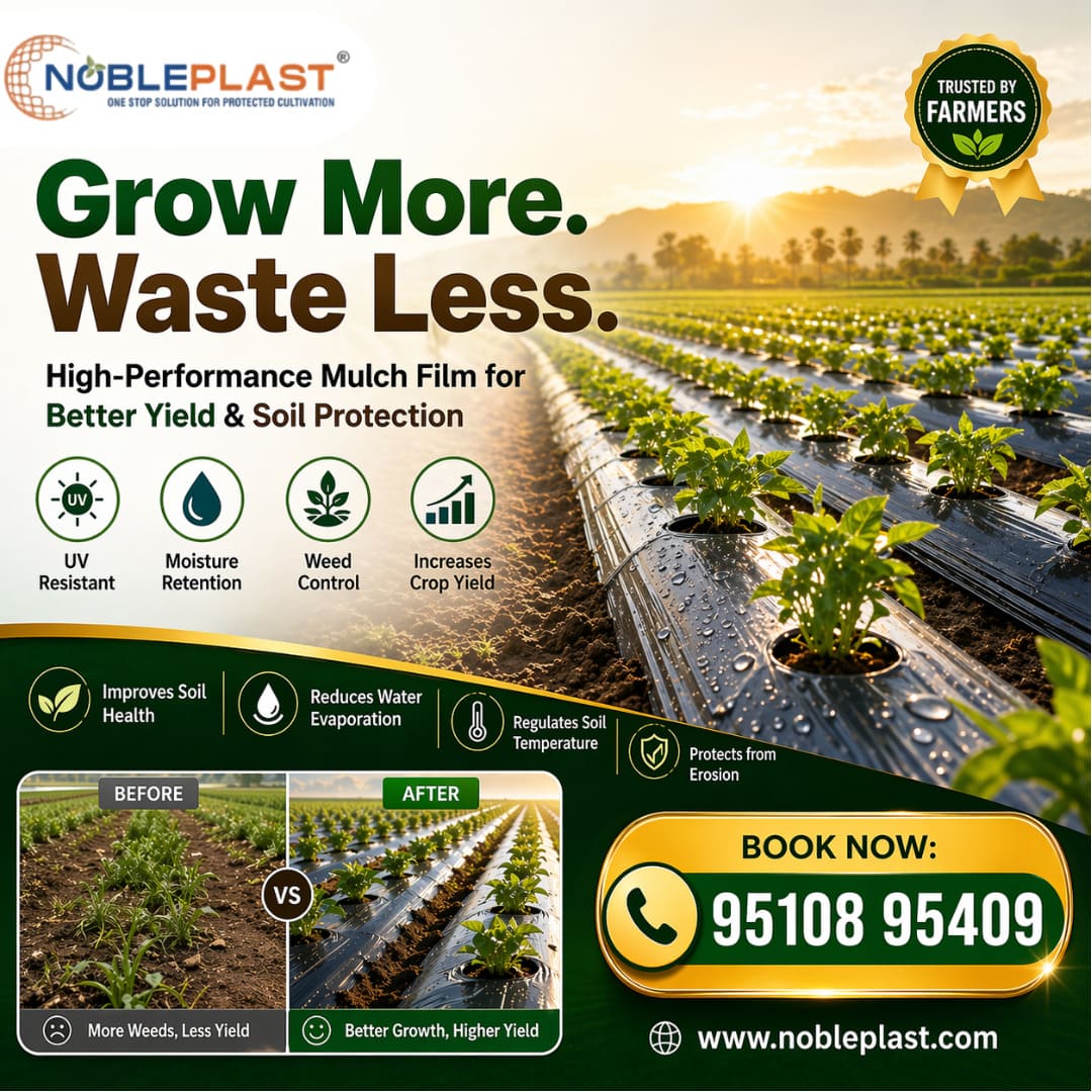 High Performance Mulch Film Supplier For Better Crop Yield And Soil Protection