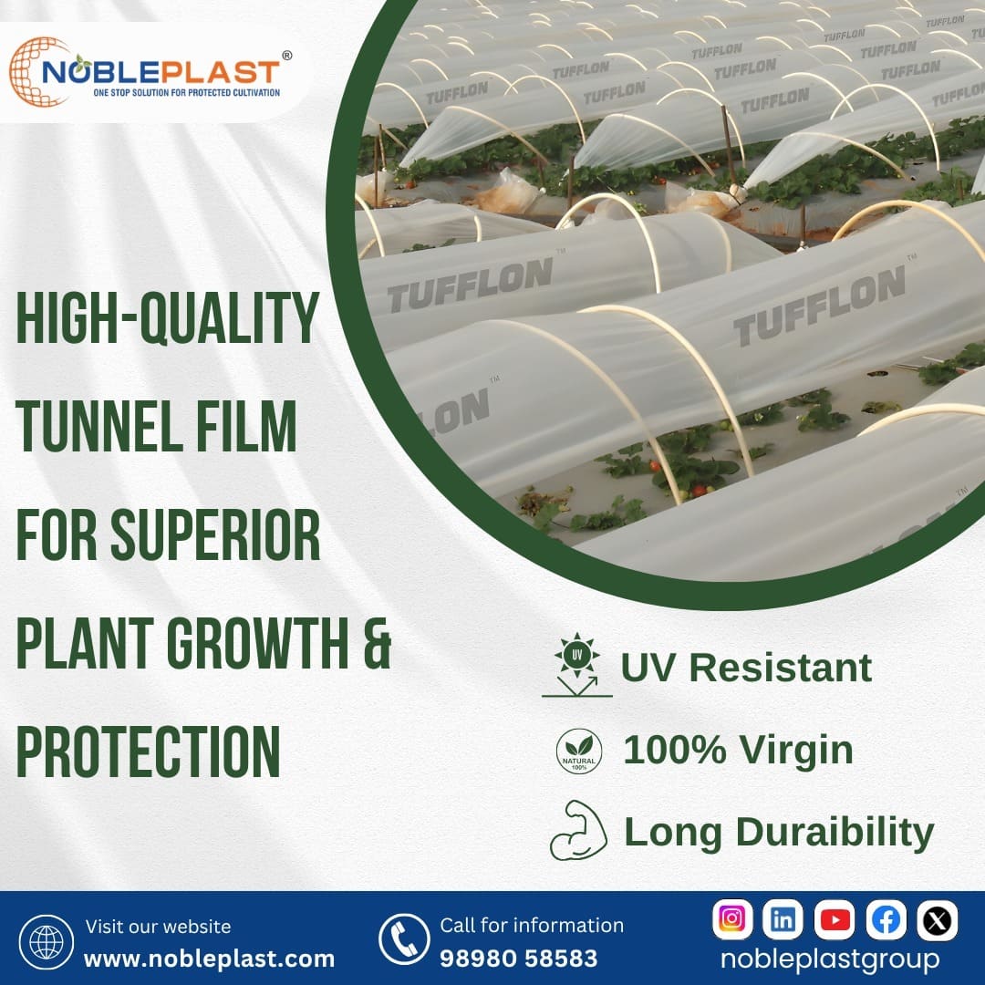 Durable Greenhouse Tunnel Film For Modern Farming Applications