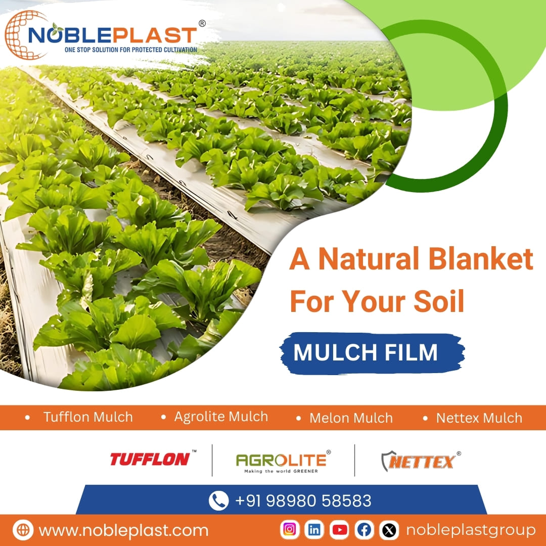 Shop High Quality Mulch Film Online At Best Price