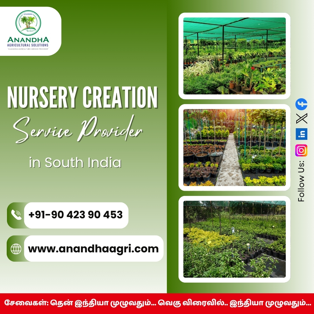 Nursery  Consulting Services In Madurai