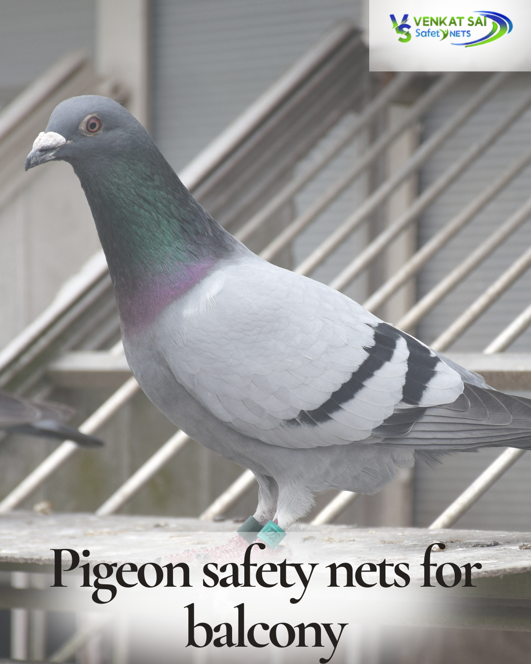 Pigeon Safety Nets For Balcony - Vizag