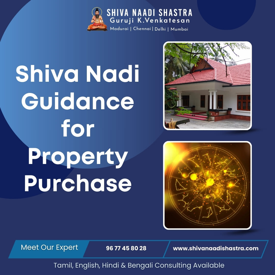 Property Related Nadi Shastra Consultation In Mumbai