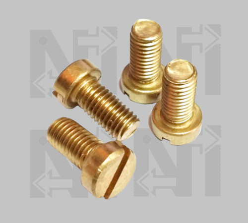 Slotted Cheese Head Screws