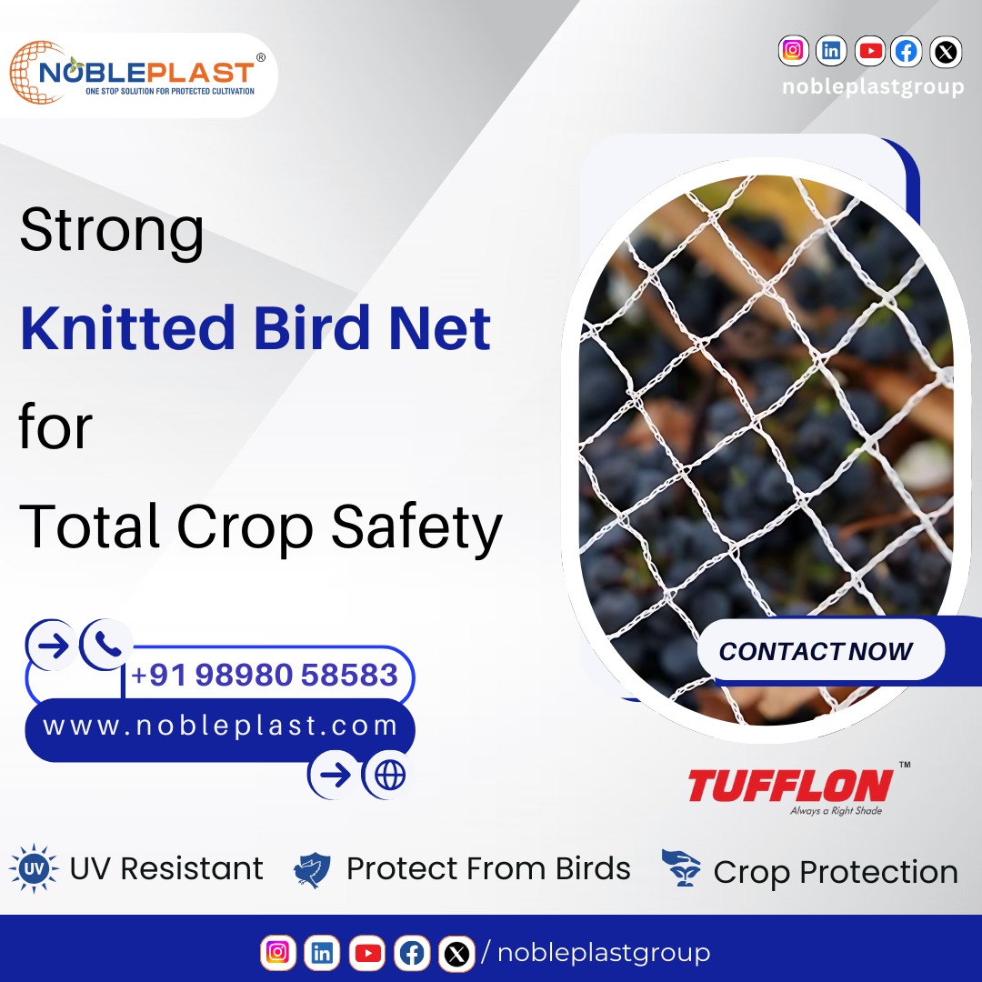 Knitted Bird Net For Crop Protection | Uv Resistant Agricultural Net